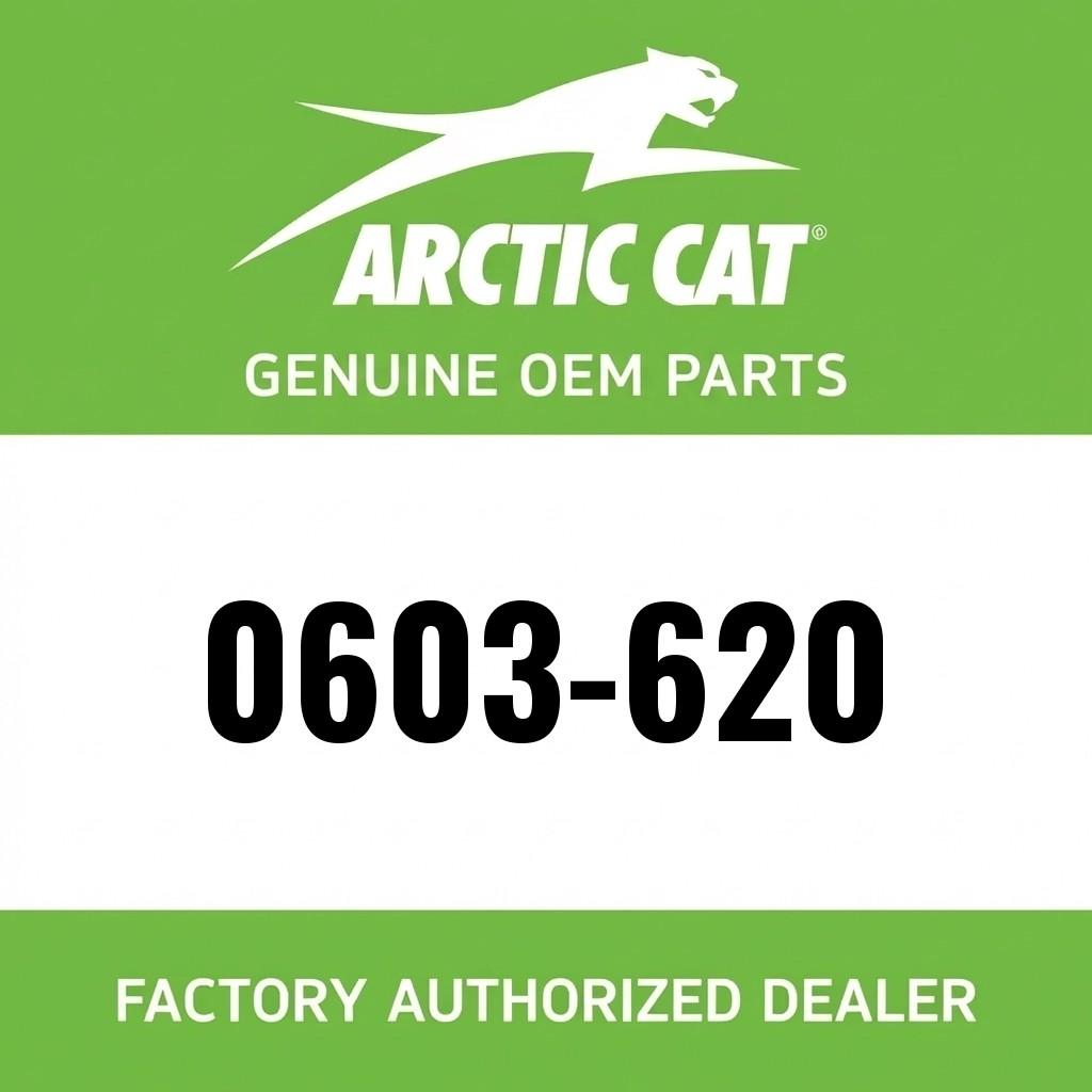 Ski image 1