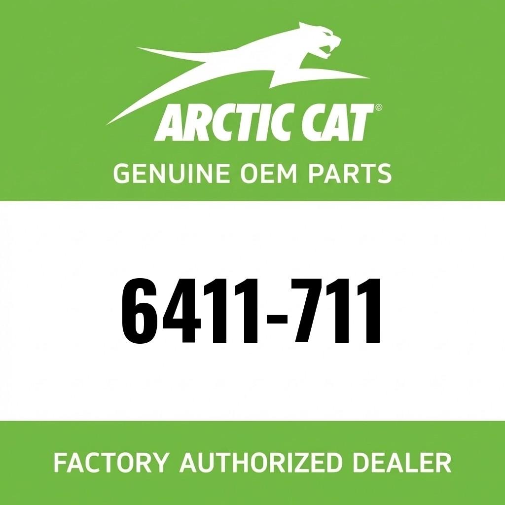 DECAL,DOOR-LH (WILDCAT) image 1