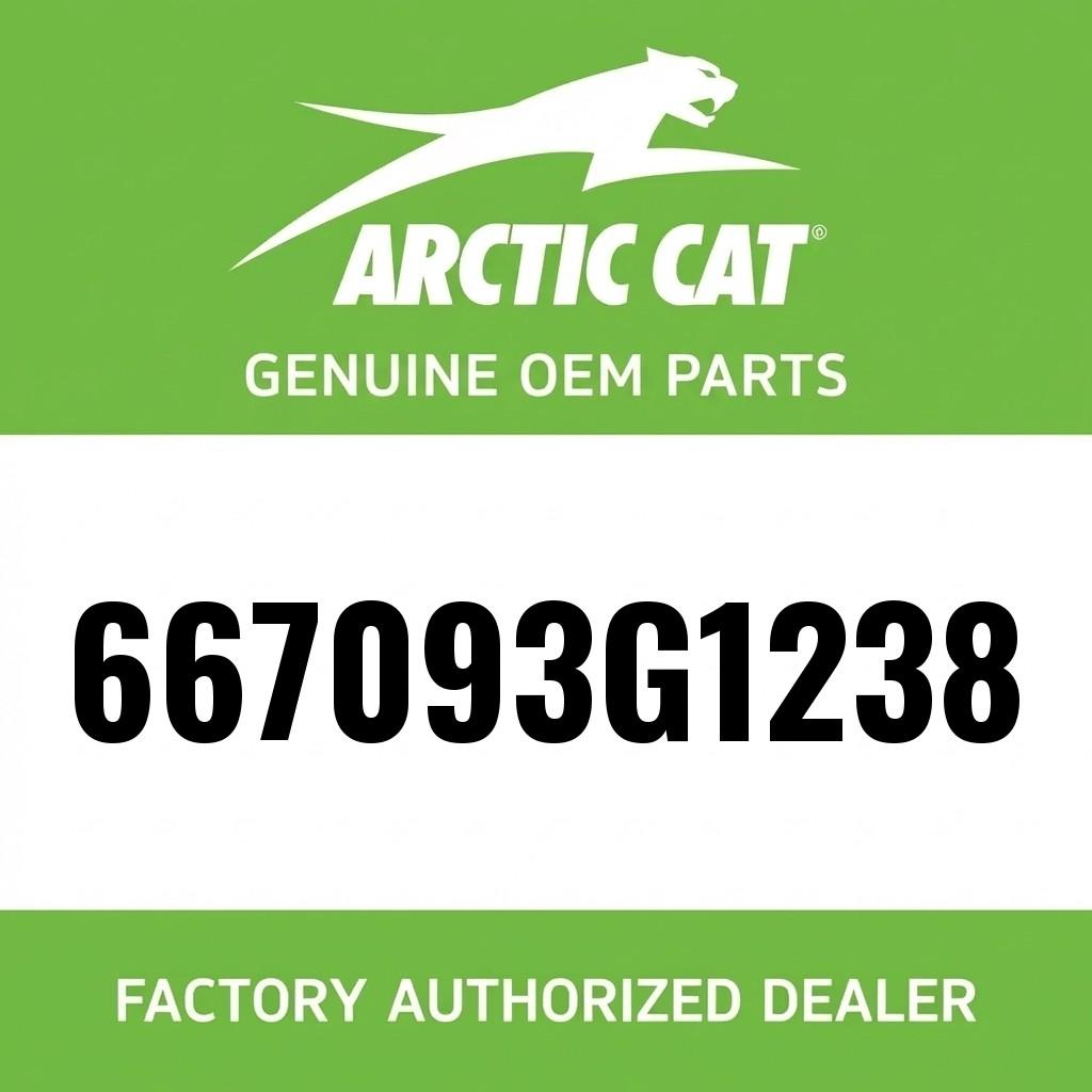 Quarter Panel Lower Decal (Passenger Side) (Bright White) image 1