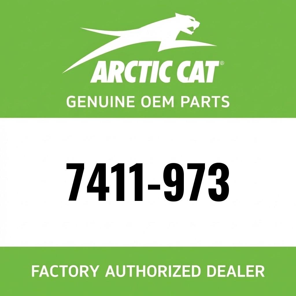 Decal, Arctic Cat image 1
