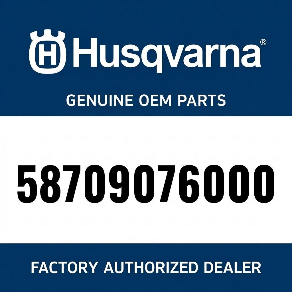 VALVE CPL. BREMBO DUKE    2003 image 1