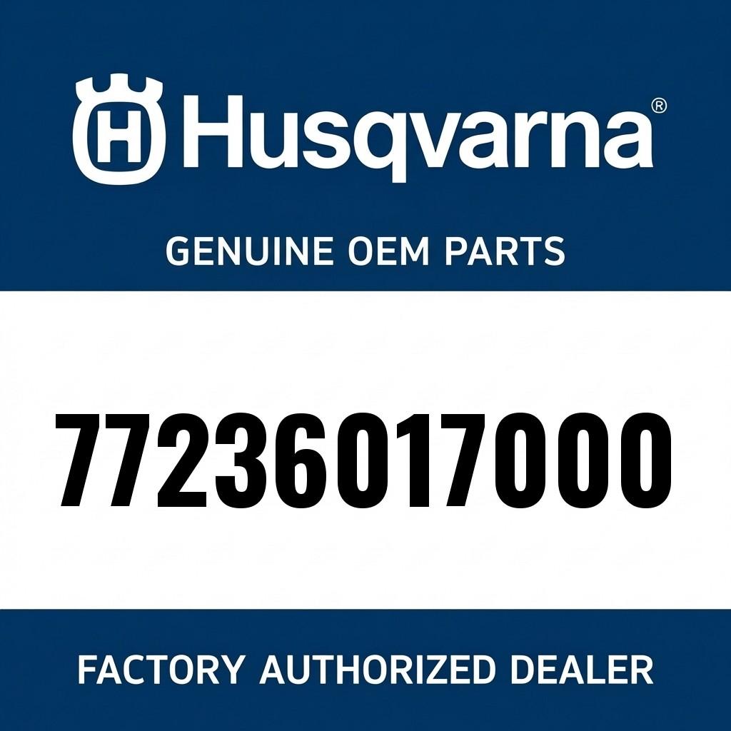 SPRING FOR AUTO DECOMPR. image 1