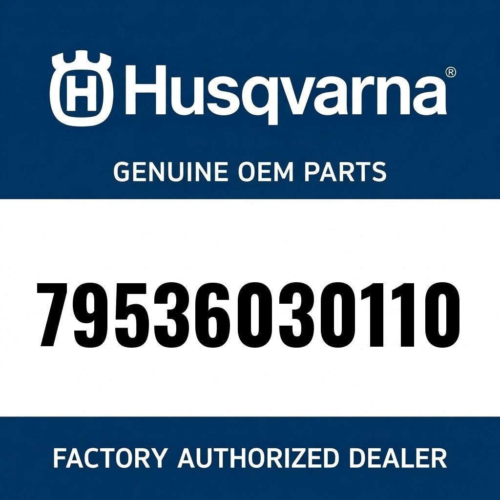 Valve spring 450 2020 image 1
