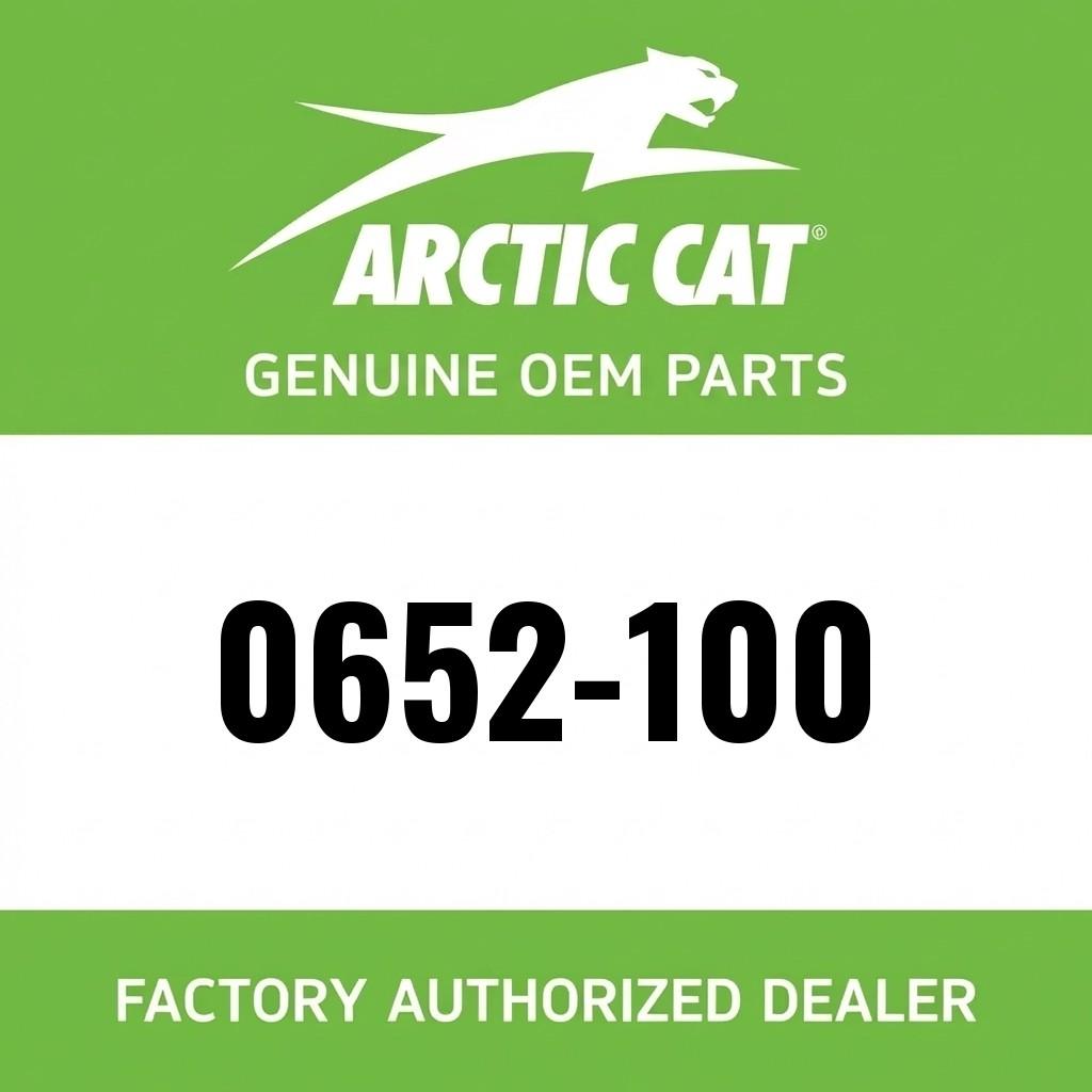 Arctic Cat Hood & Fender Touch-Up Paint - Gloss Black image 1