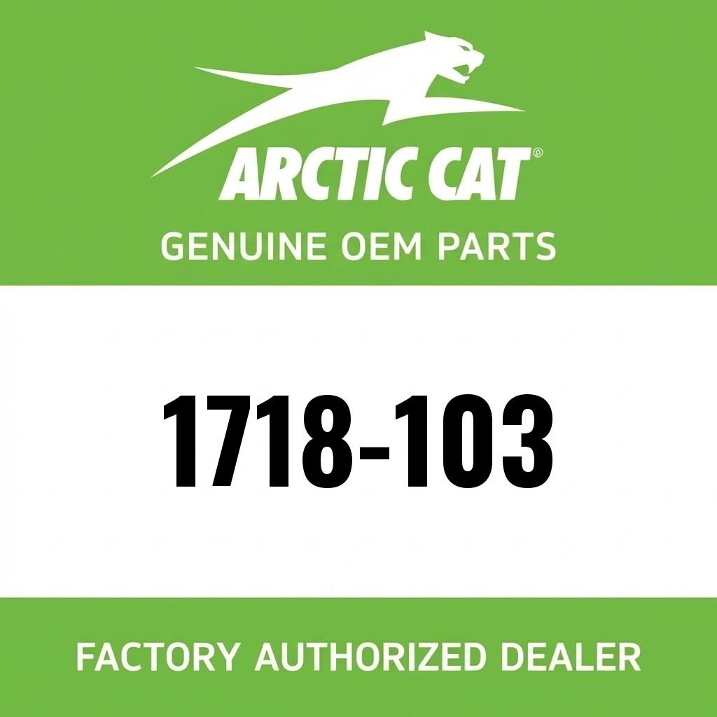Hood w/o Decals - Green image 1