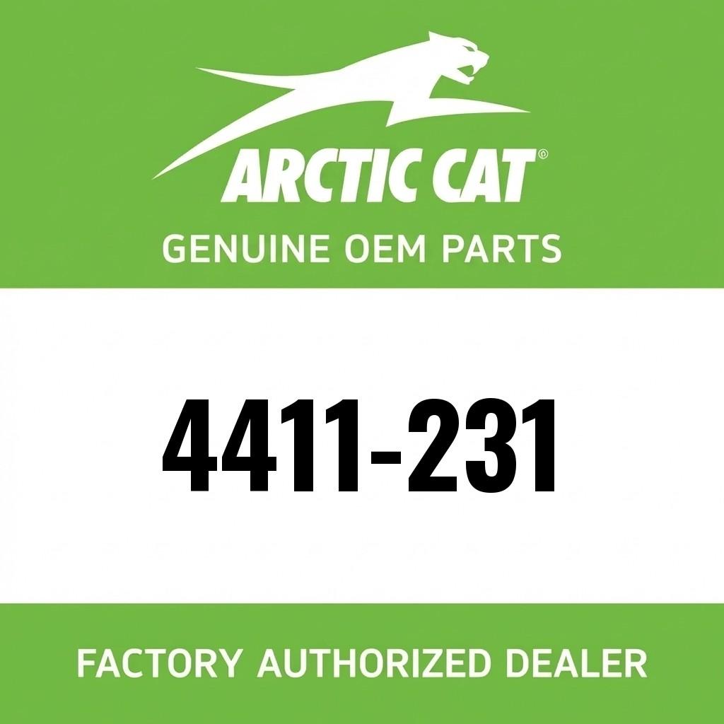 DECAL,HOOD 'ARCTIC CAT' (VB) image 1
