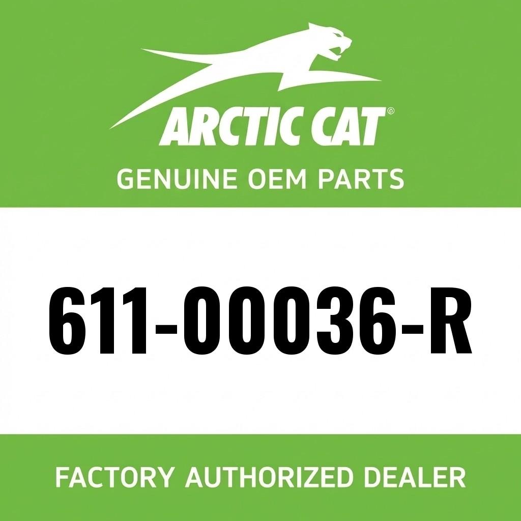 Decal, Hood - Bumper - Front - Right image 1