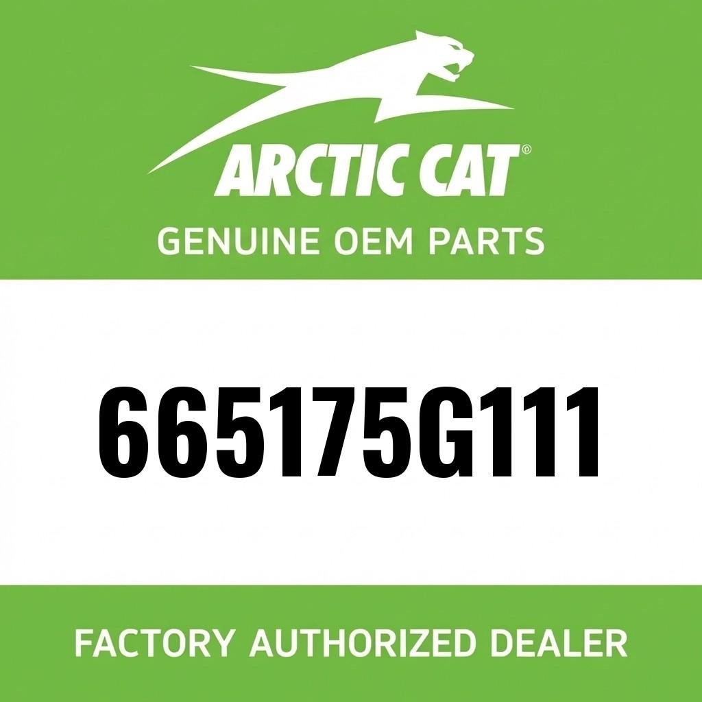 DECAL,COWL,SIDE,PRWLR EV,BLACK,LH image 1