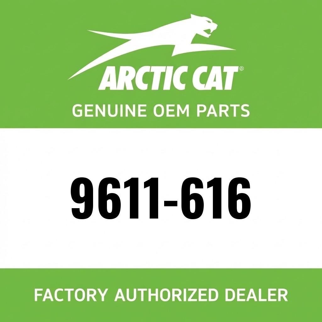 Decal, Hood - "F 1100" image 1
