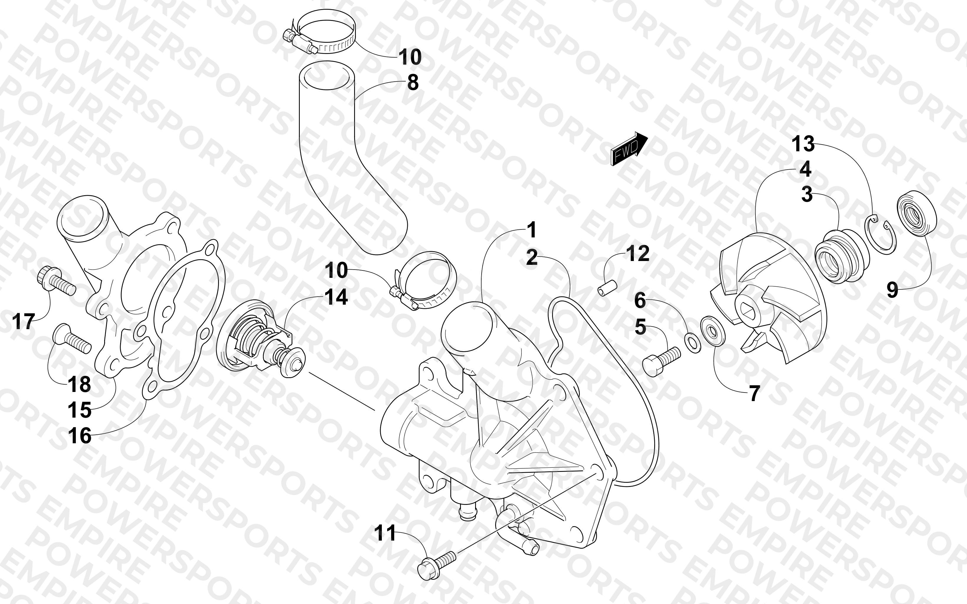 WATER PUMP AND THERMOSTAT