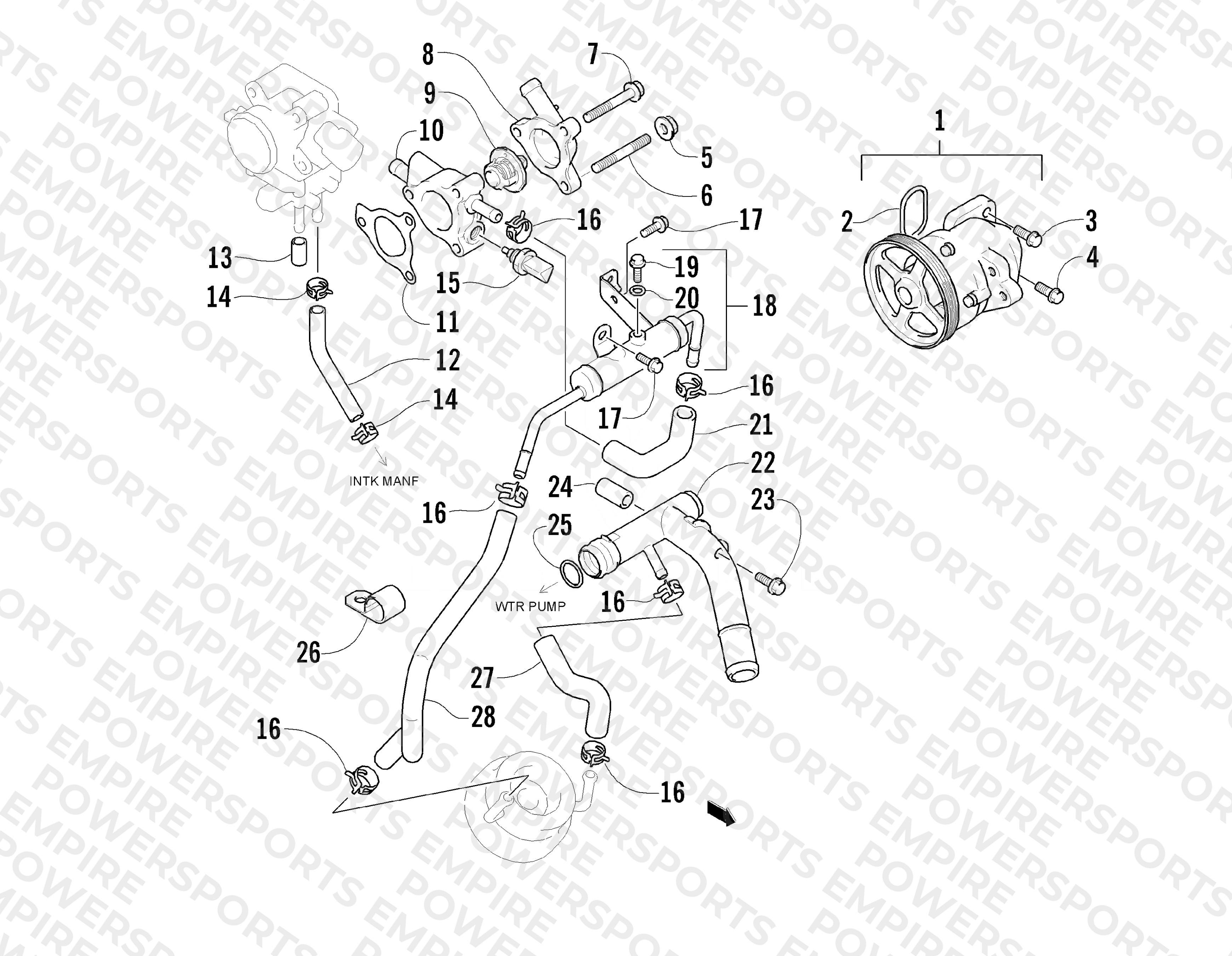 WATER PUMP AND THERMOSTAT ASSEMBLIES