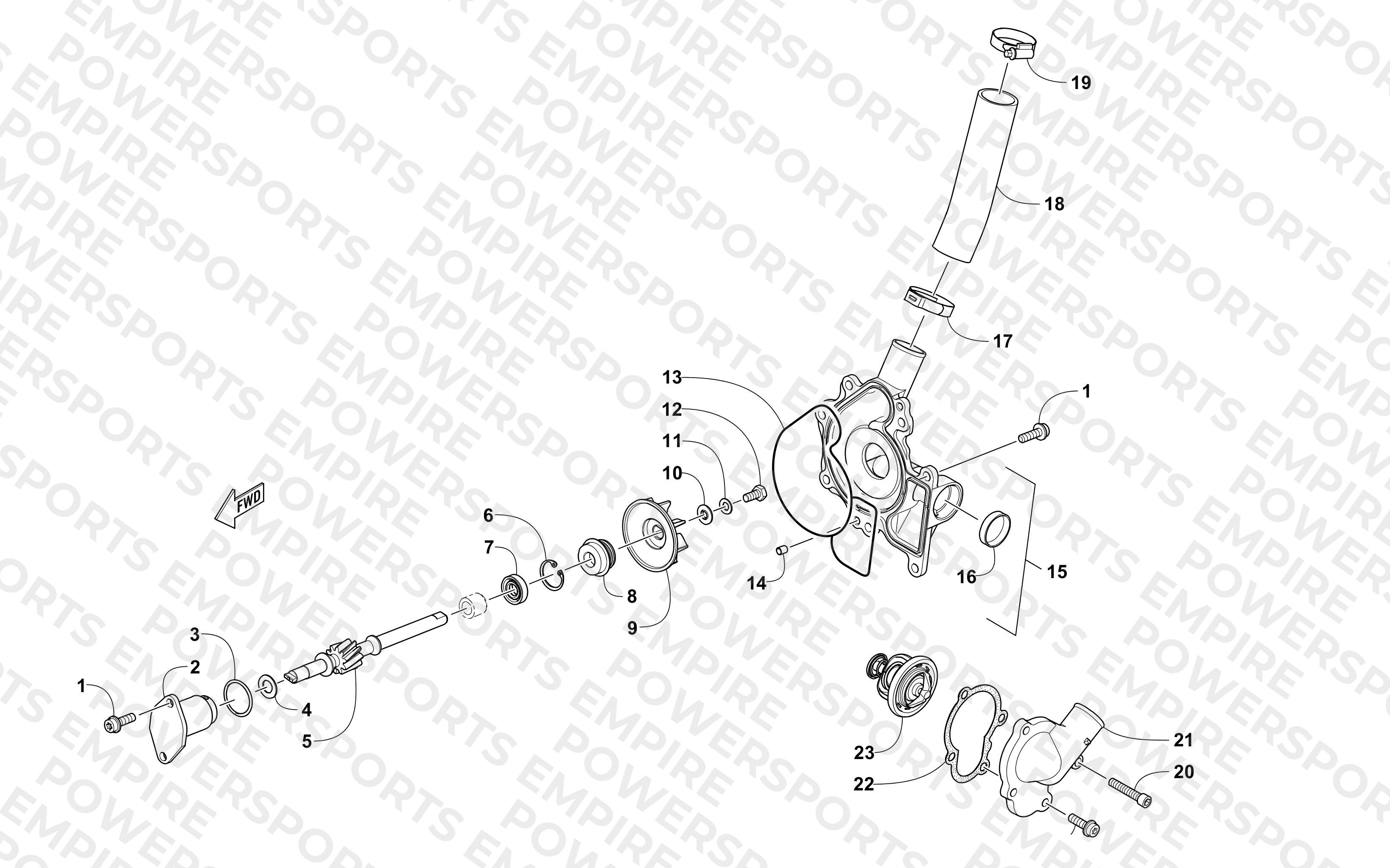 WATER PUMP AND THERMOSTAT