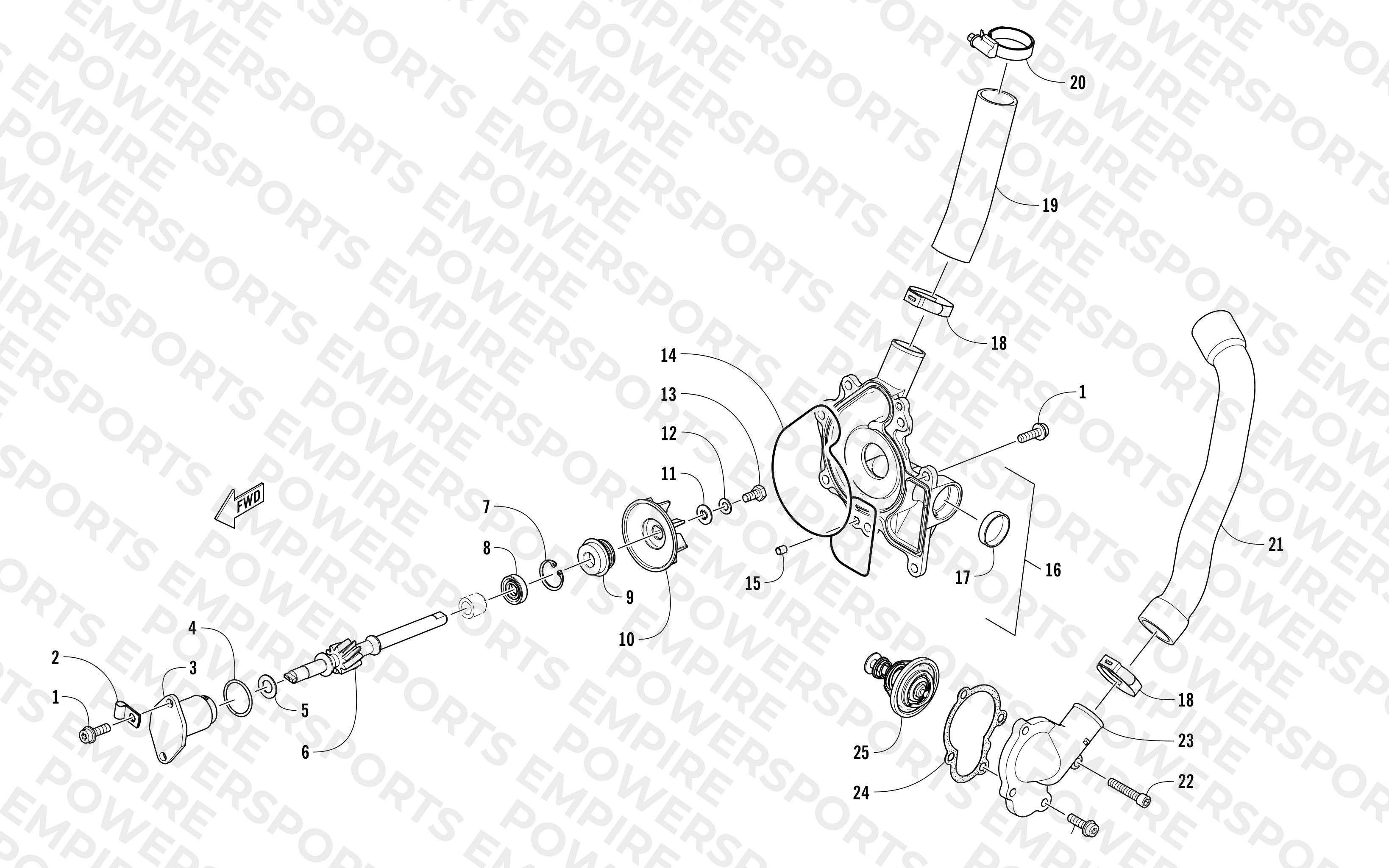 WATER PUMP AND THERMOSTAT
