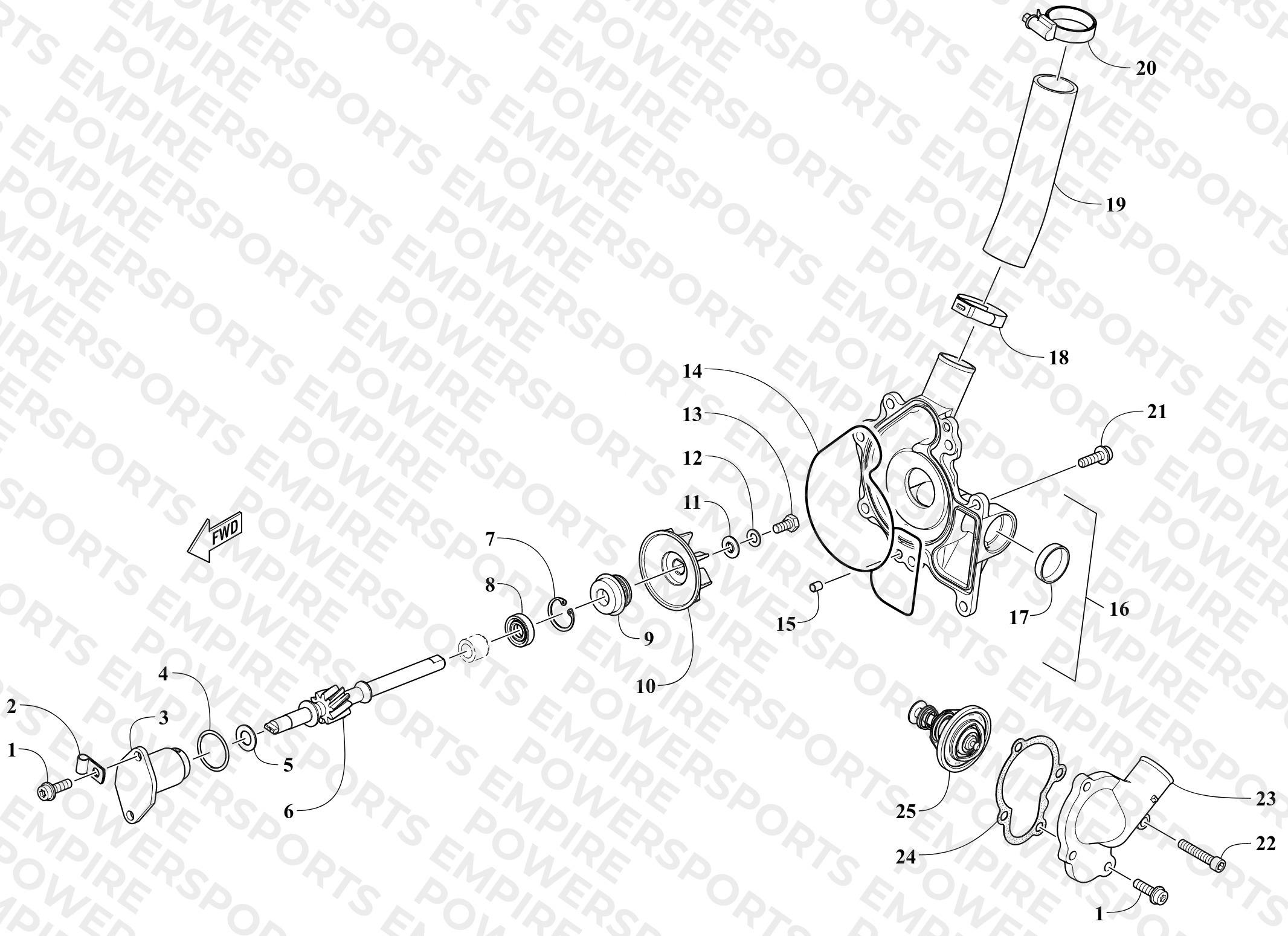 WATER PUMP AND THERMOSTAT