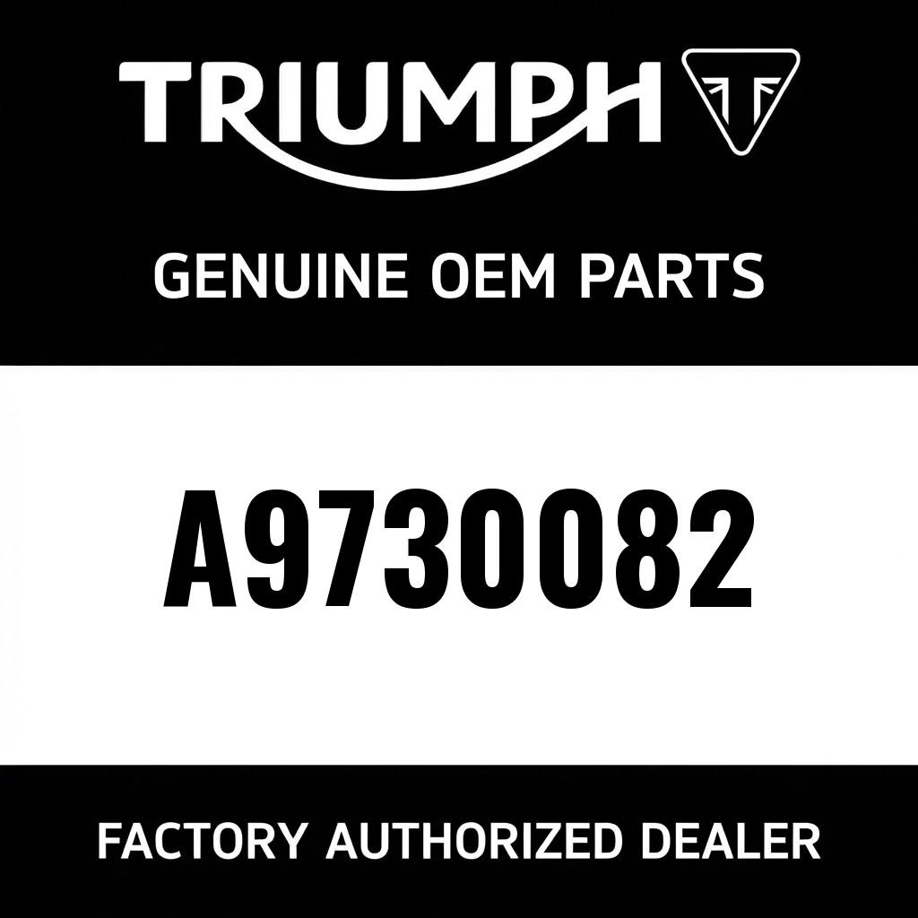 HEADLAMP BRACKET, CHROME, RH image 1