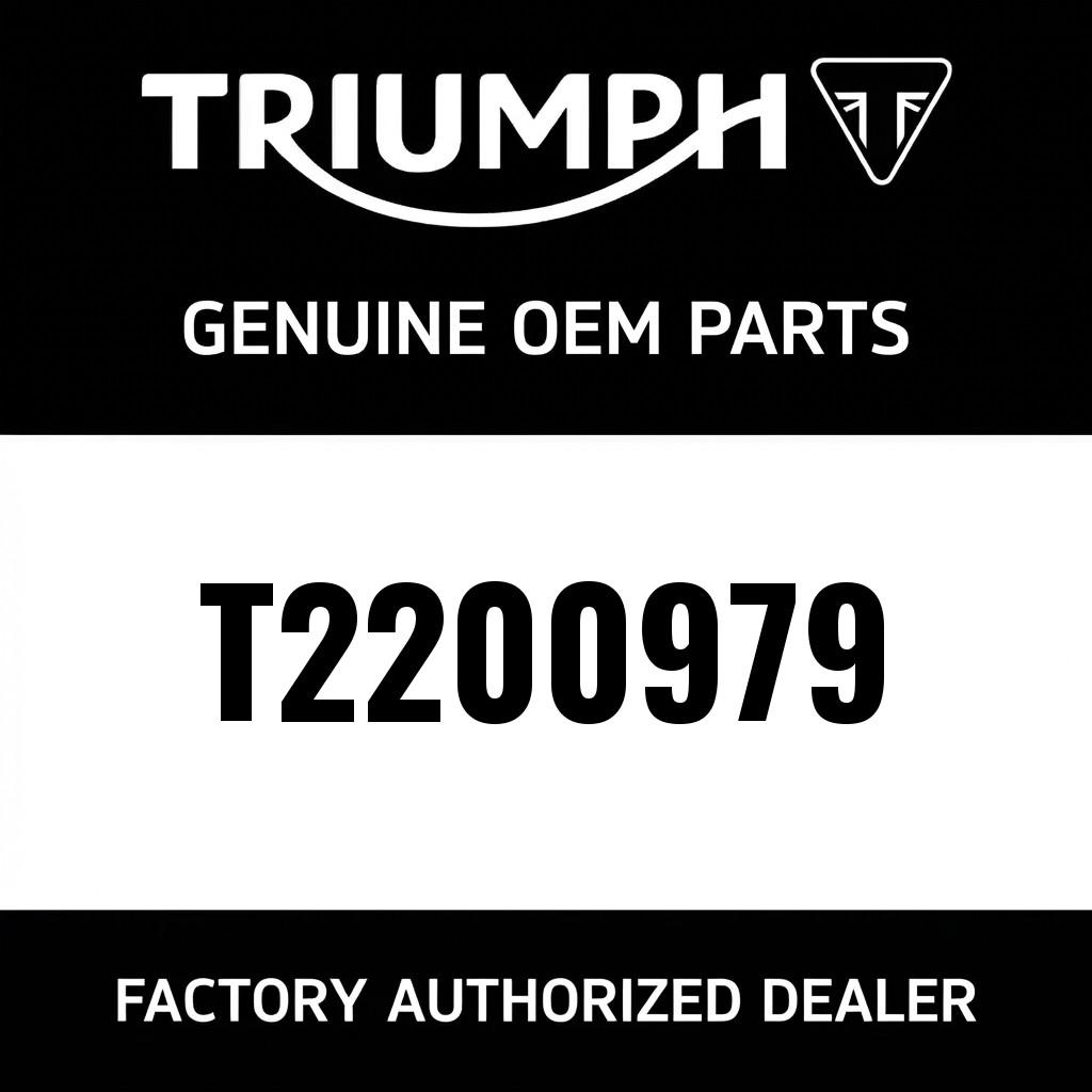 Foam Seal, Headstock image 1
