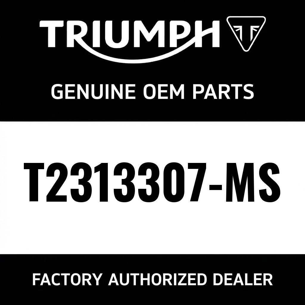 Front Mudguard, Matt Aluminium Slv image 1