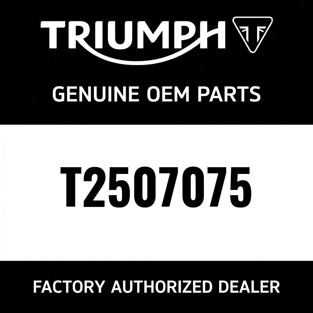 Fly Lead, Fog Light image 1