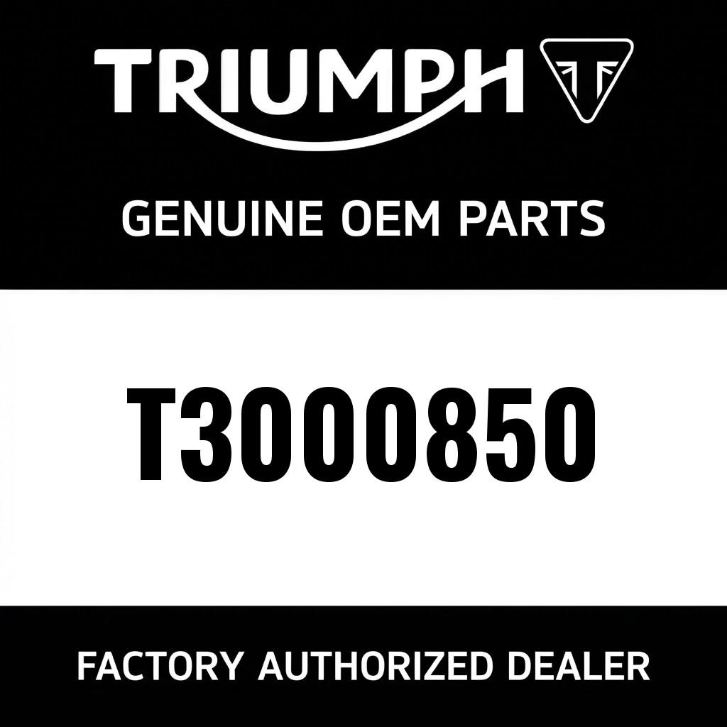 Dowel, Hollow, 27 x 16 image 1