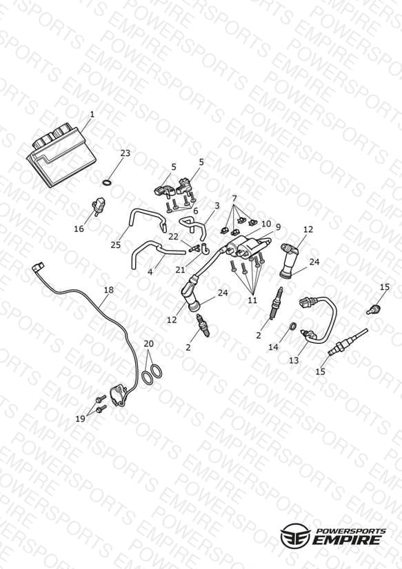 Engine Management System