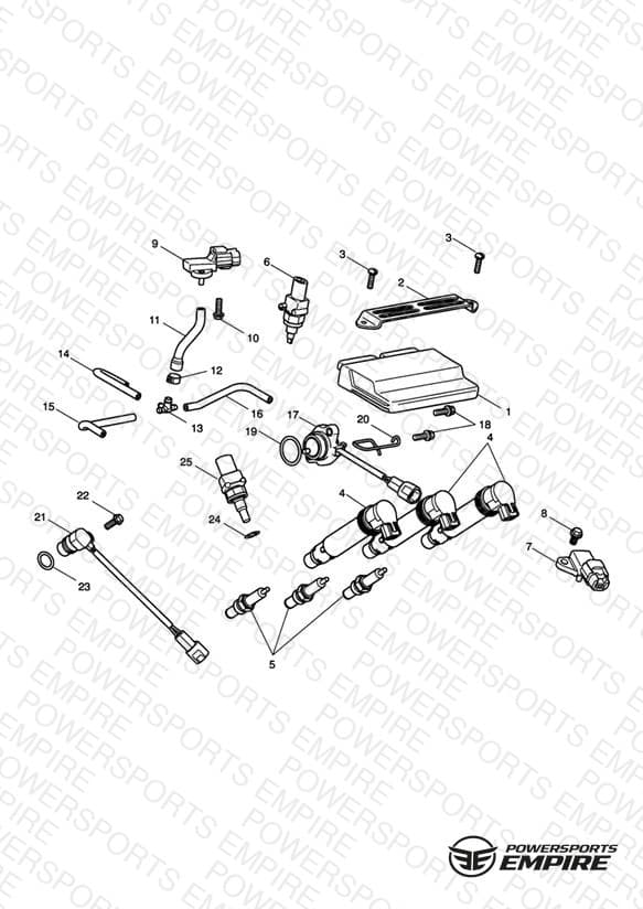 Engine Management System