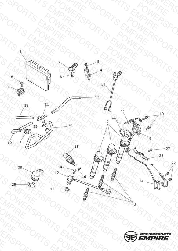 Engine Management System