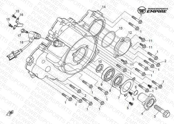 E06 — LEFT CRANKCASE COVER ASSY
