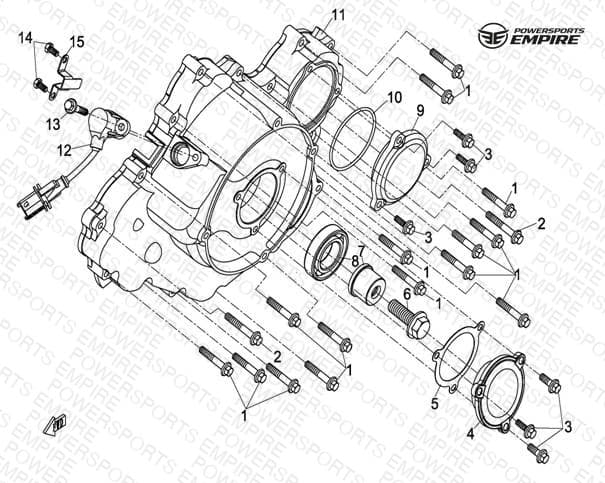 E06 — LEFT CRANKCASE COVER ASSY