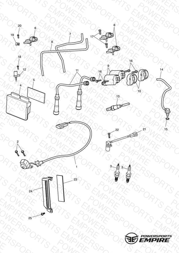 Engine Management System