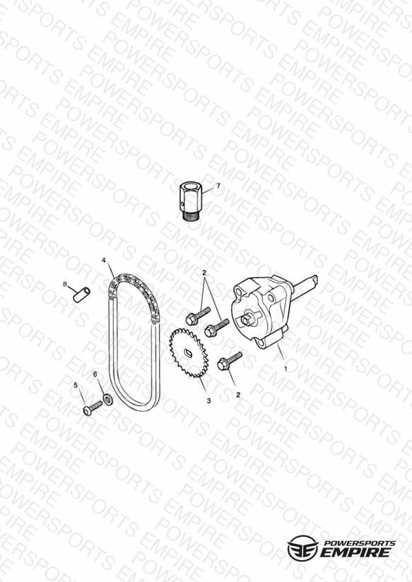 Oil Pump & Drive