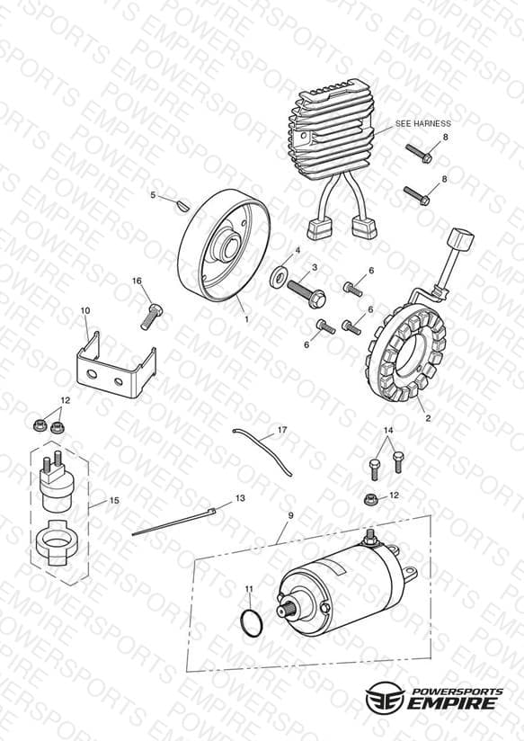 Starter & Alternator