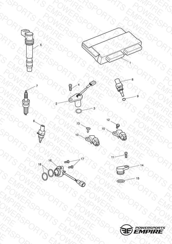 Engine Management System