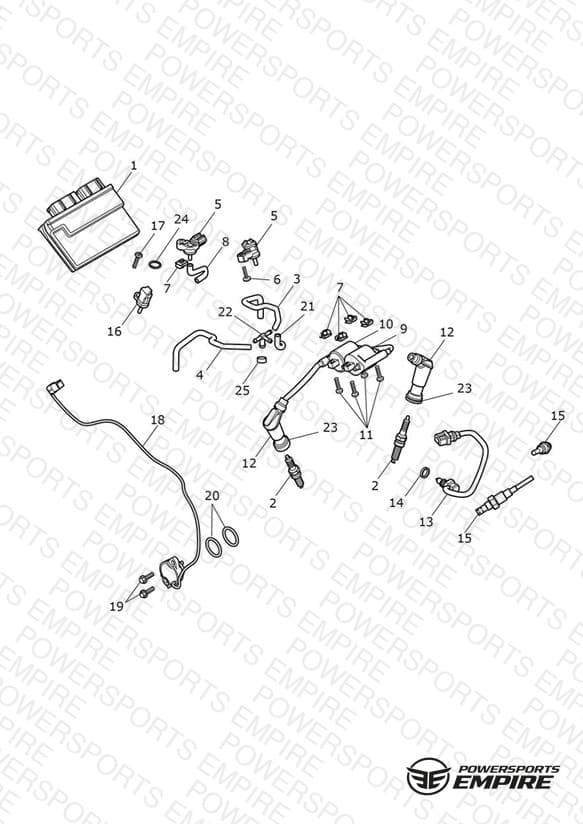 Engine Management System