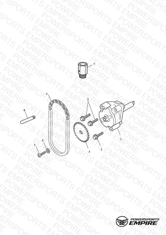 Oil Pump & Drive
